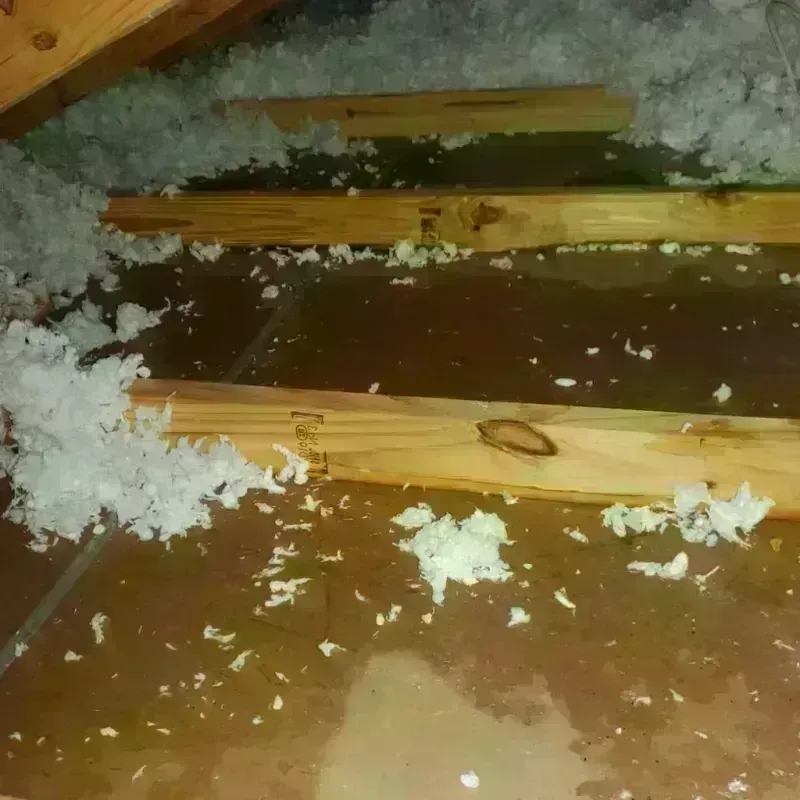 Attic Water Damage in West Hills, CA